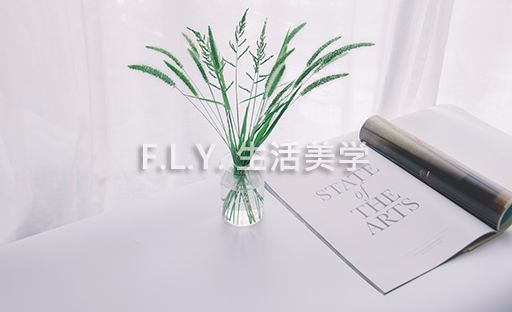 FLY生活美学 
                      