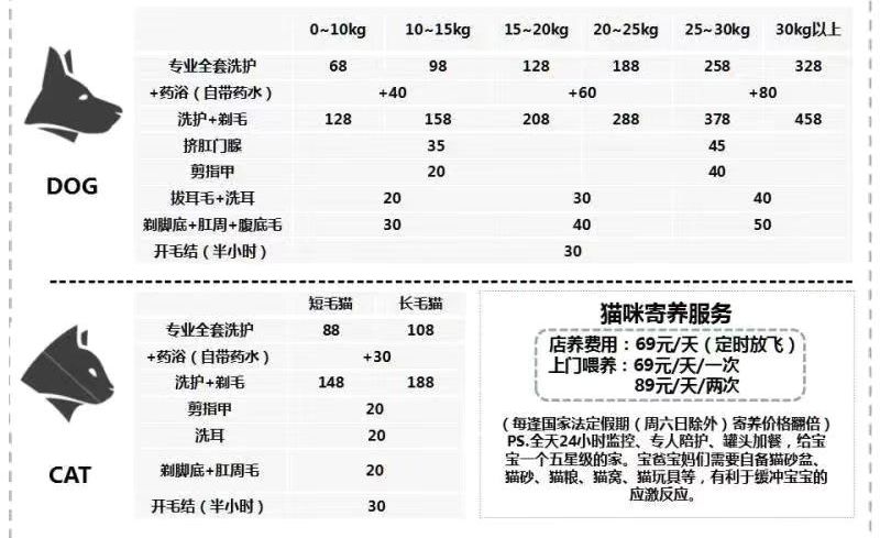 偷吃营养膏 
                      