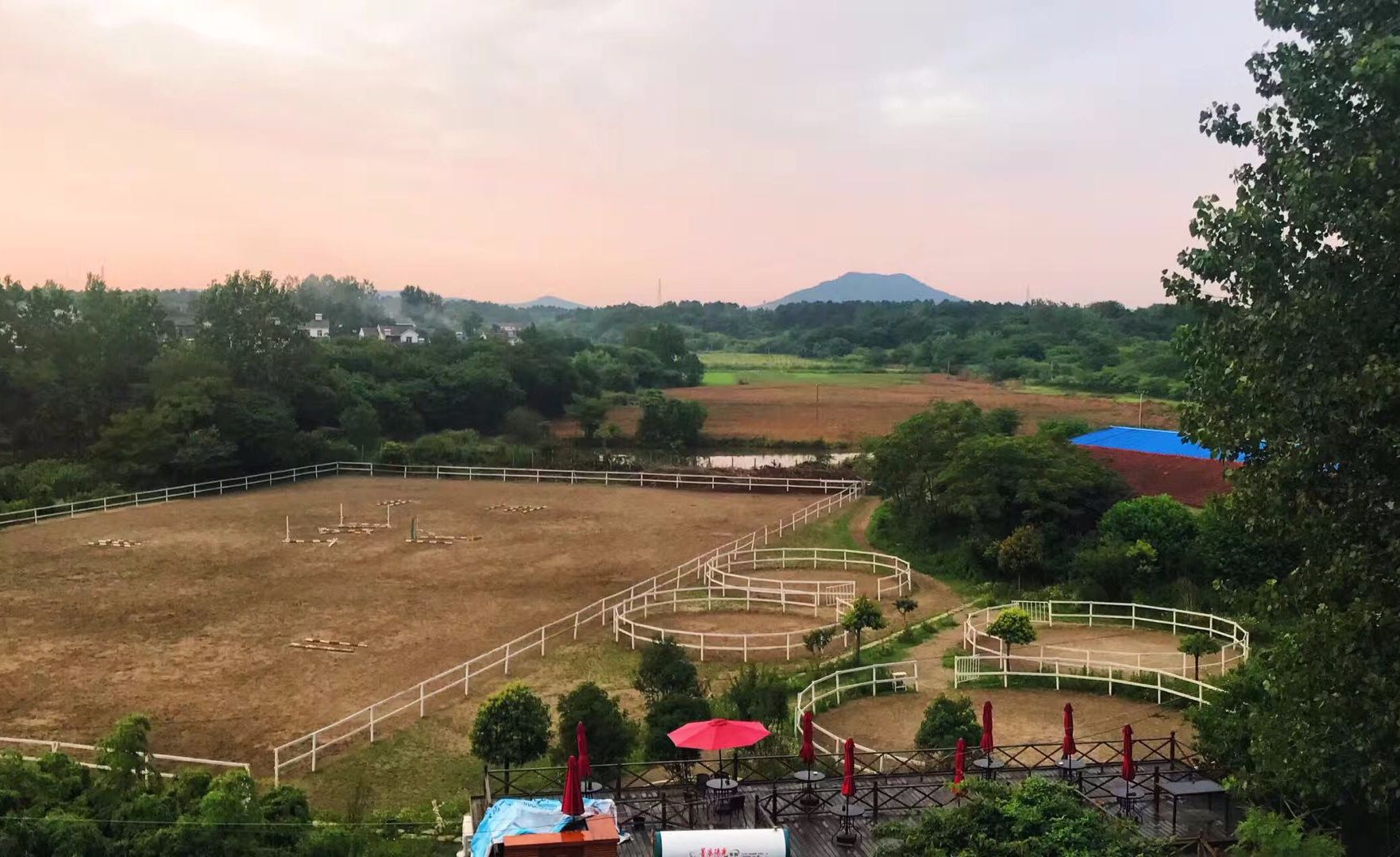 飞翔马国际马术俱乐部 
                      