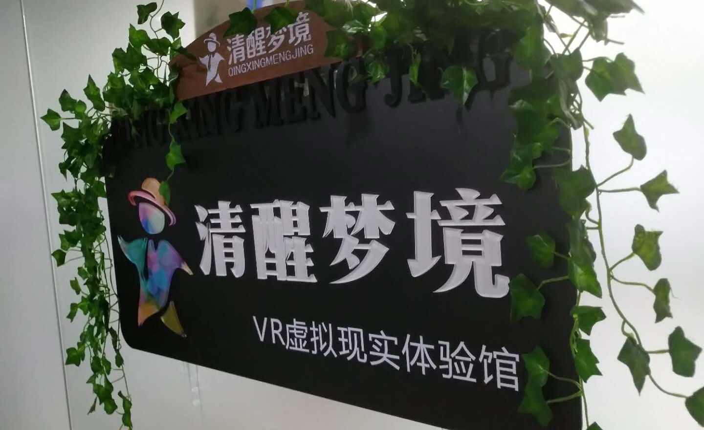 清醒梦境VR虚拟现实体验馆 
                      